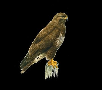 PROCES renvoyé de cinq chasseurs