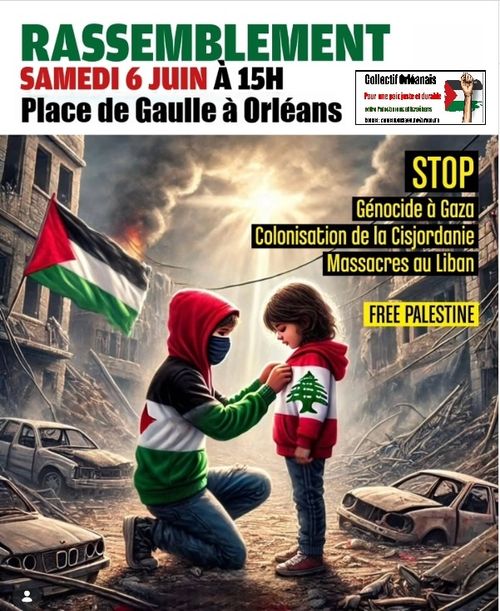 MANIFESTATION de soutien à la Palestine
