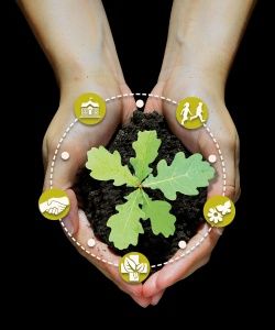 https://grainecentre.org/agenda/2025/l-education-a-l-environnement-cle-de-la-transition-ecologique?utm_source=NL&utm_campaign=Assises