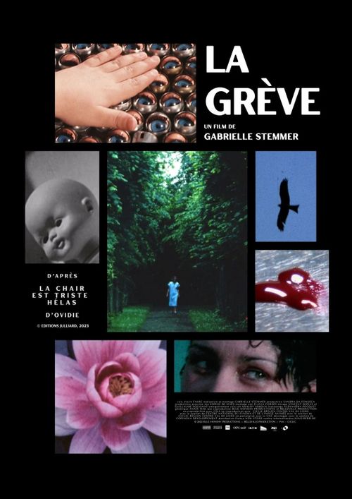 https://www.cinemalescarmes.com/events/84893-la-greve-de-gabrielle-stemmer/