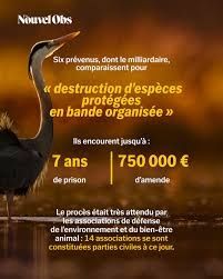 PROCES Olivier Bouygues pour destruction d'espèces protégées en bande organisée
