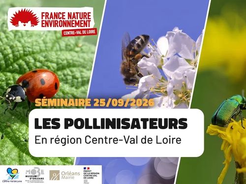 https://fne-centrevaldeloire.org/actualites/seminaire-les-pollinisateurs-en-region-centre-val-de-loire